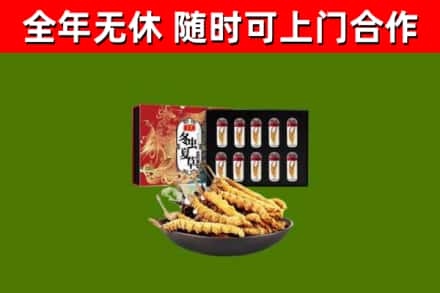 开鲁回收冬虫夏草价格