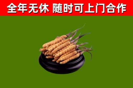 开鲁烟酒回收冬虫夏草.jpg